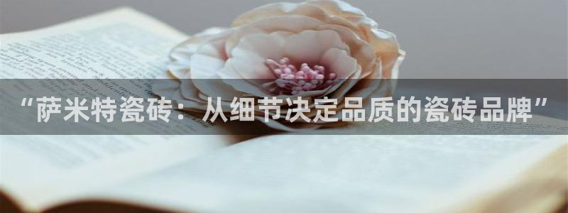 和记日化官网