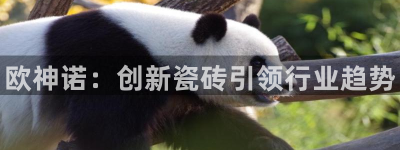 和黄记官网