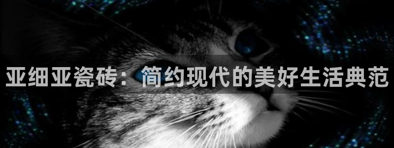 和帆记加盟官网