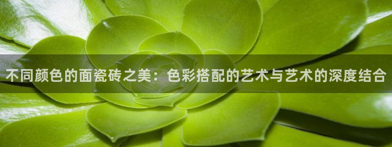 和记娱技精h88285官网