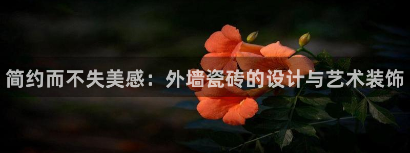 和记电讯APP官网充值