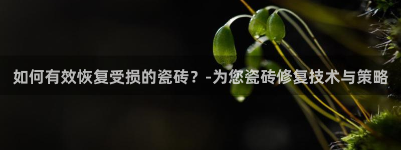 和记娱乐 官网