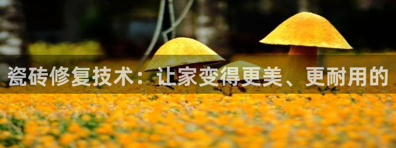 和记娱乐h88官网约凯发来就送68