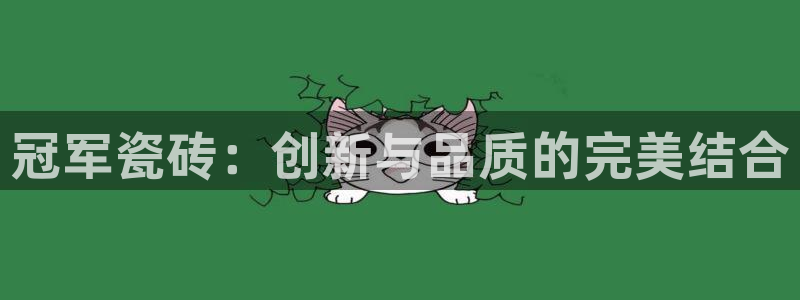 和记大合城dk2官网