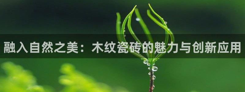 长江和记有限公司官网