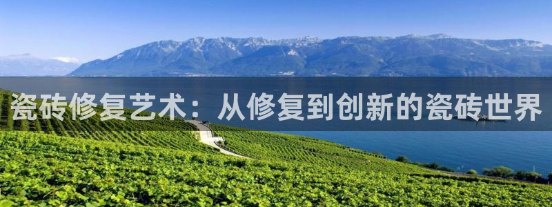 和记国际平台官网